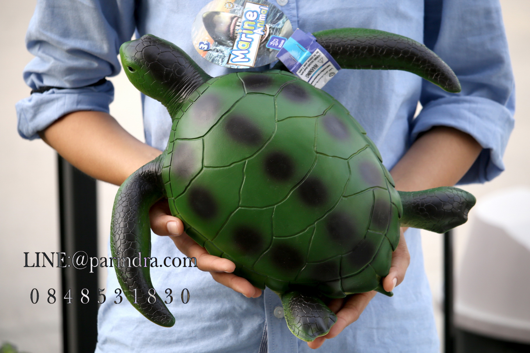 โมเดลเต่าทะเลสีเขียว ขนาด 15 นิ้ว ยางอ่อนนุ่มนิ่ม บีบได้