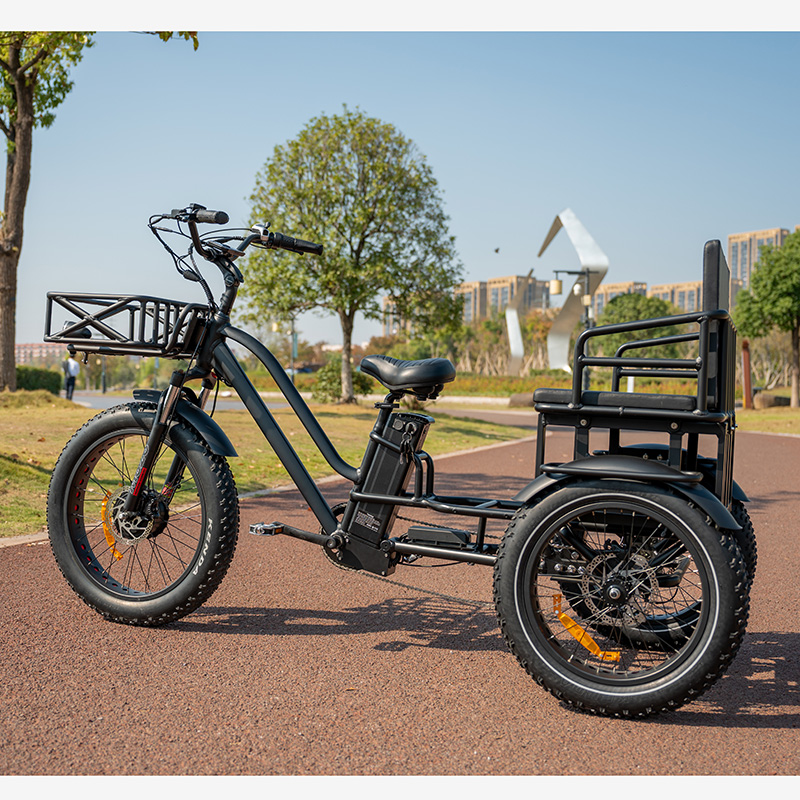 จักรยานไฟฟ้าสามล้อ OTMAR OTM-T14 750W | แบต Samsung 48V | วิ่งไกล 120 กม. | รับน้ำหนัก 185 กก.