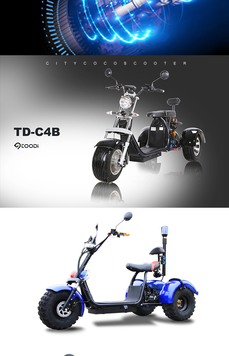สามล้อ DUDI 3 Wheel CITYCOCO Electric Scooter electric motorcycle 2000w, TD-C9 With EEC plus แบตลิเที่ยม