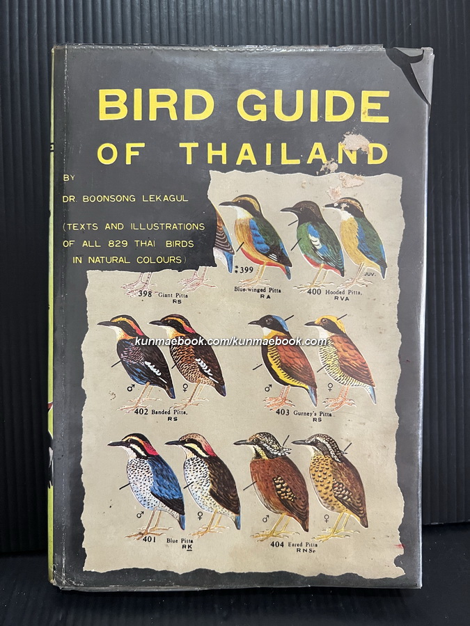 Bird Guide of Thailand ( 1st Edition ) by Dr.Boonsong Lekagul,Edward W. Cronin Jr.
