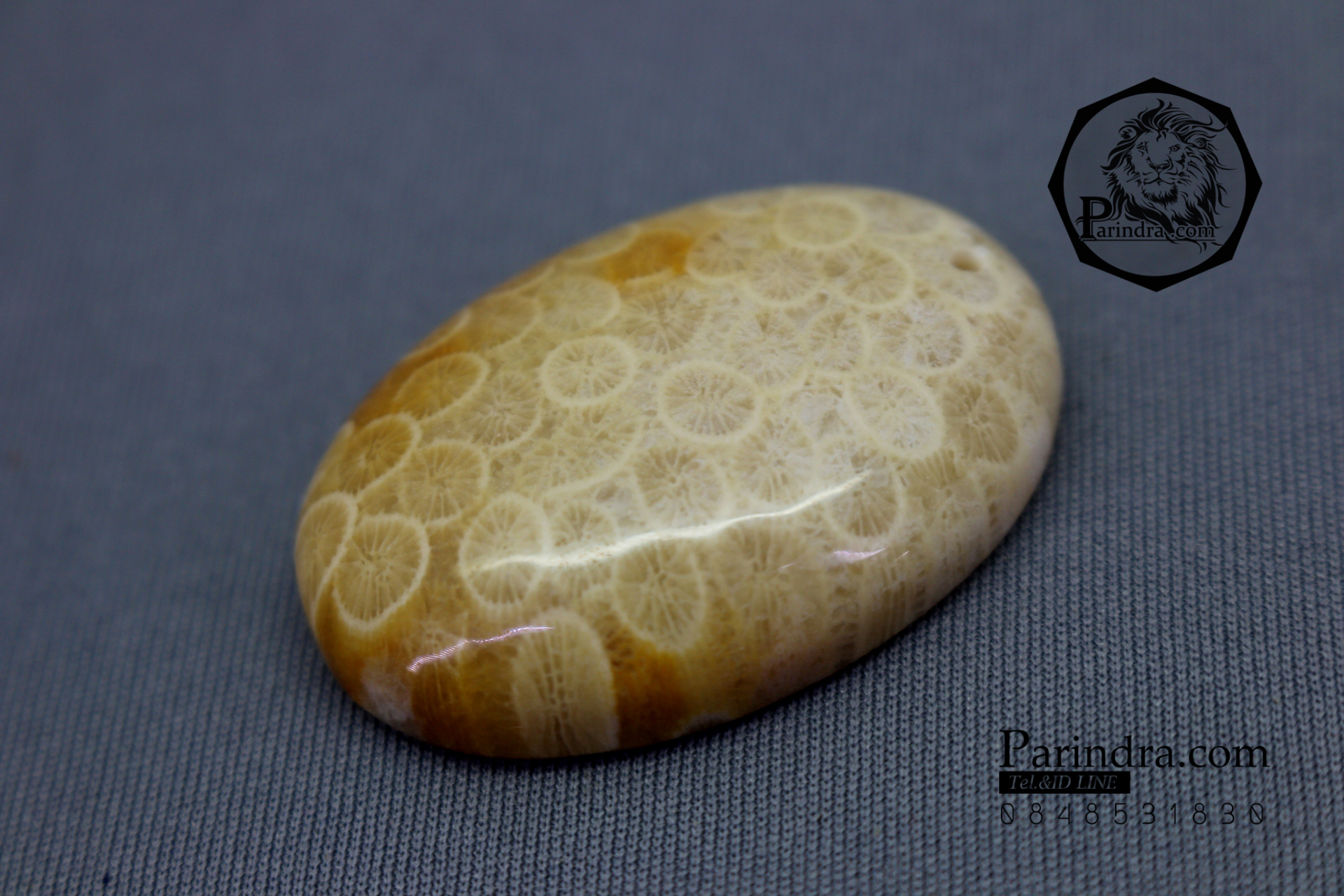 ฟอสซิลหินปะการังขัด Fossil Coral ใหญ่และหนา สำหรับห้อยคอ หรือ พวงกุญแจ คัดสวยพิเศษ #CRF013
