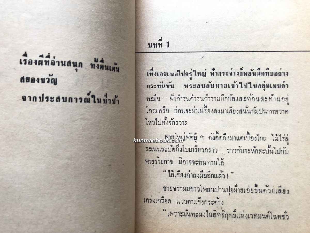 ปีศาจคนองฤทธิ์ โดย ใบหนาด