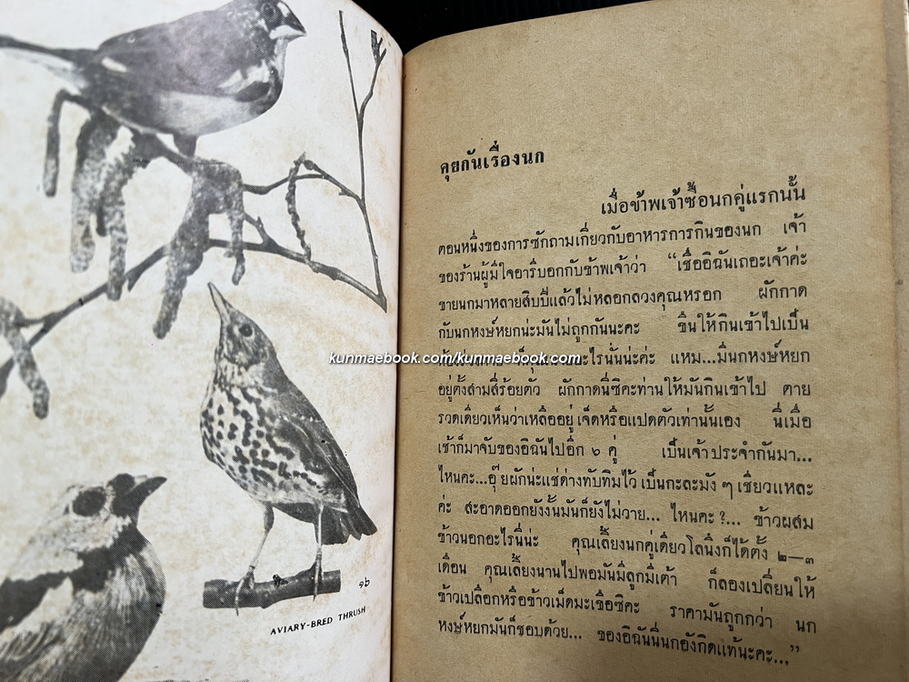 นกเลี้ยง รวบรวมโดย สมพร ภูริพงศ์