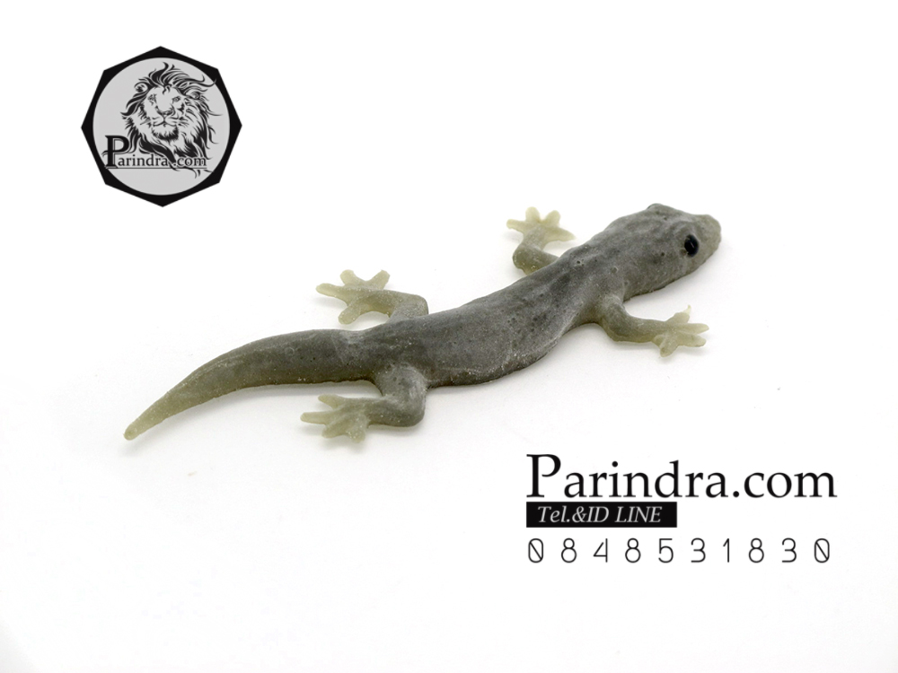 จิ้งจกปลอม จิ้งจกตาดำ แกล้งคน แกล้งเพื่อน เหมือนมาก