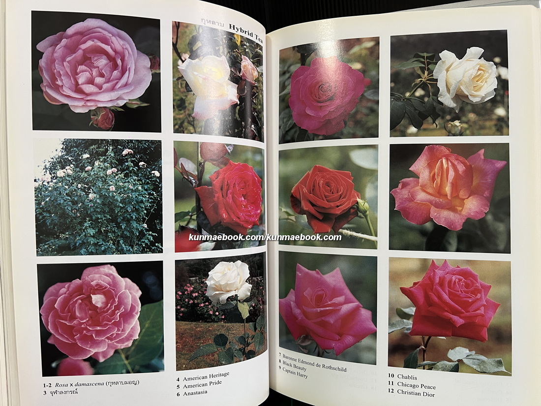 สารานุกรมไม้ประดับในประเทศไทย เล่ม 1-2 ( ปกแข็ง )