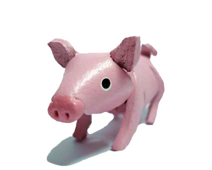 12. Pig / ( 12 ราศี )