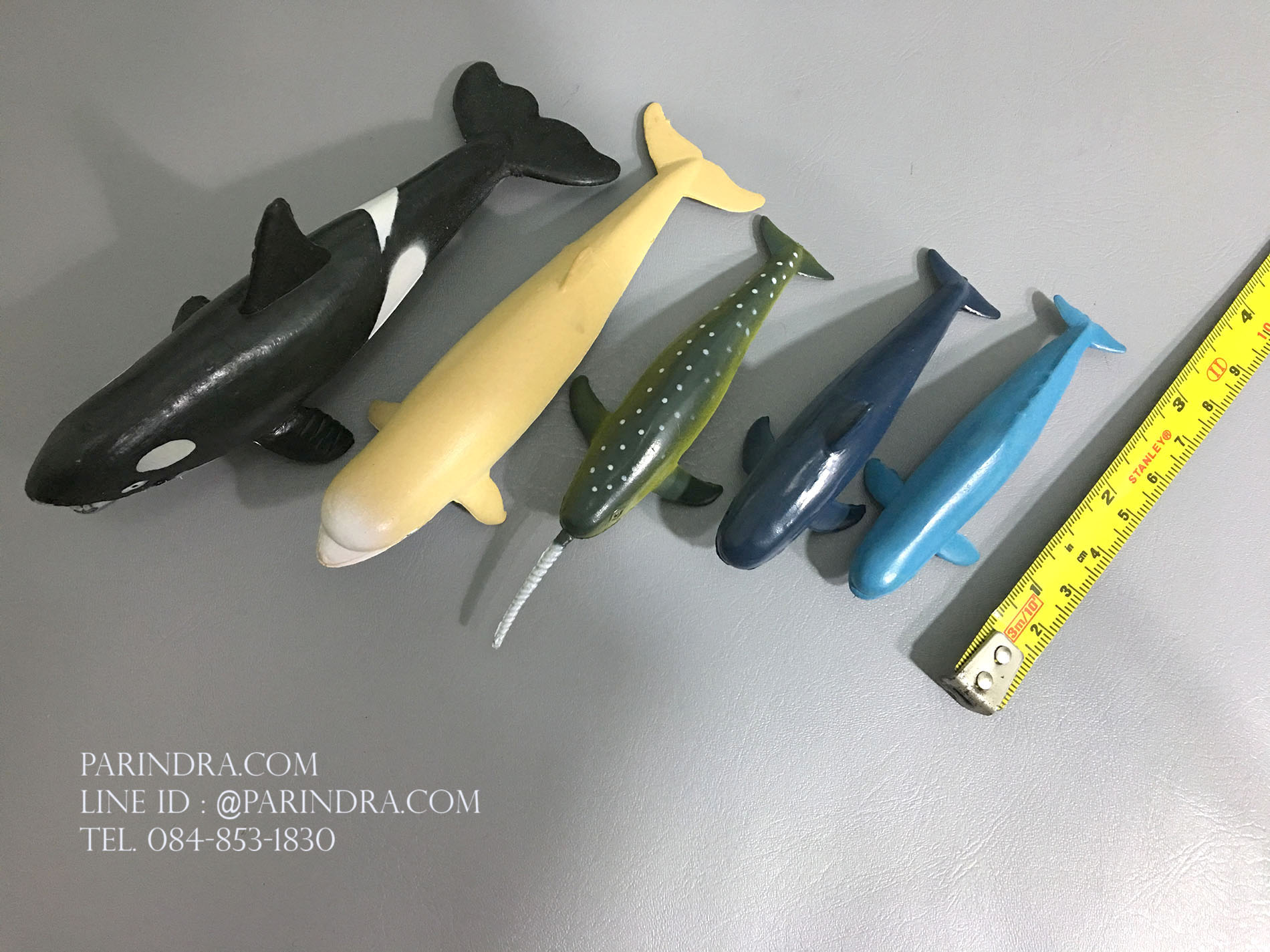 โมเดลสัตว์ทะเล ชุด Ocean World กลุ่ม วาฬ หลากหลายสายพันธุ์