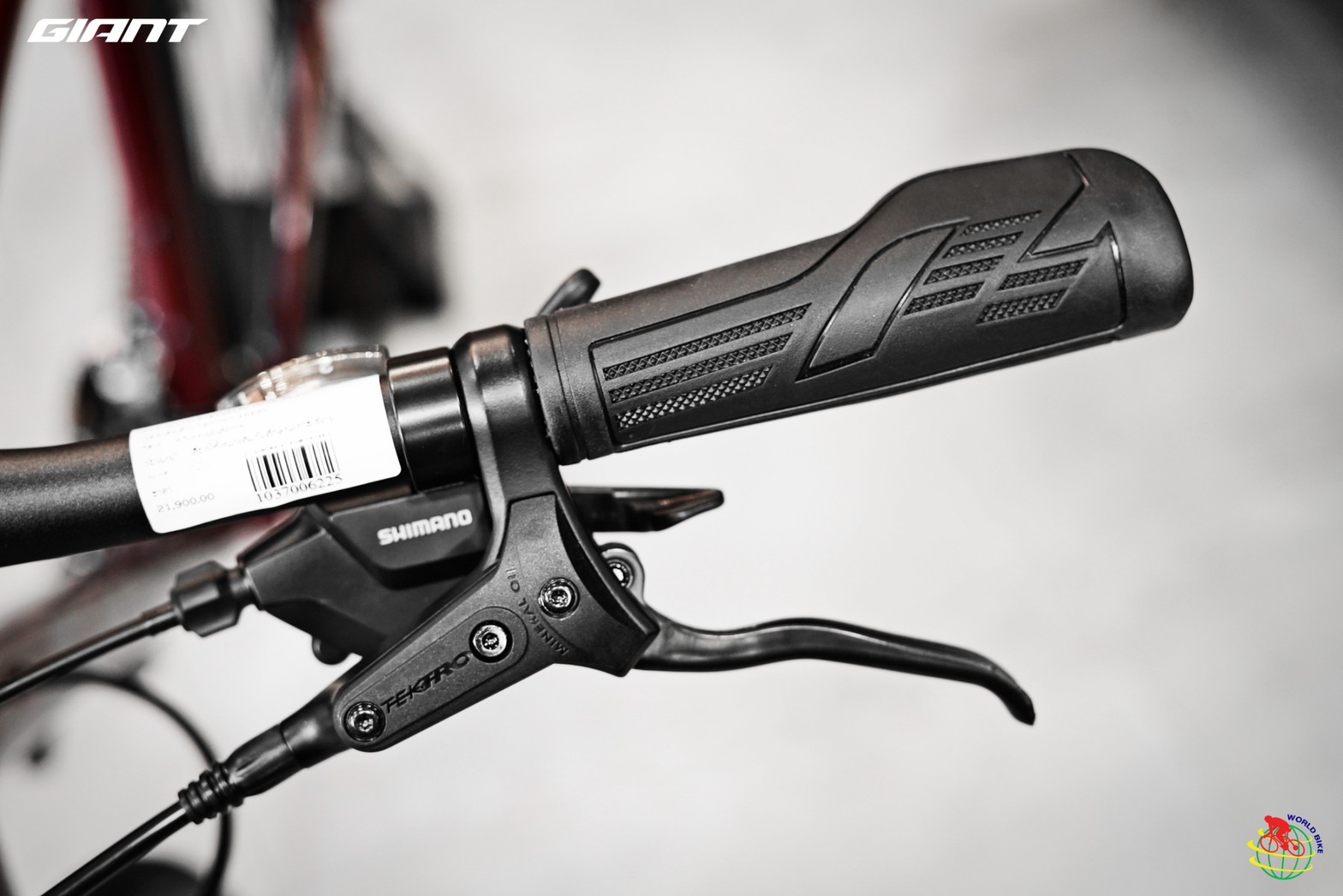 Giant Escape 2 Disc Hybrid Bike 2024 เฟรมอลูมิเนียม 700c ดิสก์เบรก Shimano 21 สปีด | จักรยานไฮบริด