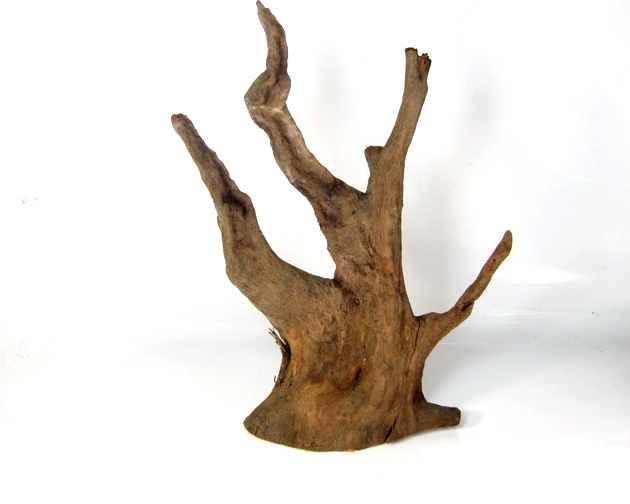 ขอนไม้ตกแต่งตู้ปลาหรือใช้เลี้ยงสัตว์เลื้อยคลาน 010