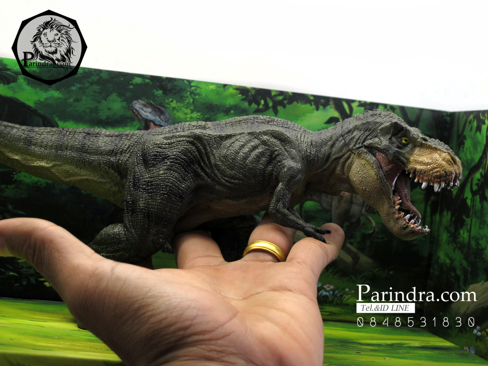 โมเดลไดโนเสาร์ Collection Dinosaur World