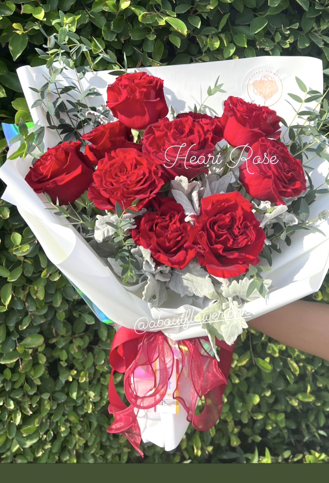 Birthday Bouquet Ecuador Heart Rose ช่อดอกกุหลาบเอกวาดอร์สีแดง นำเข้า คัด Size จำนวน 10 ดอก พร้อมตกแต่ง สามารถเปลี่ยนสีได้