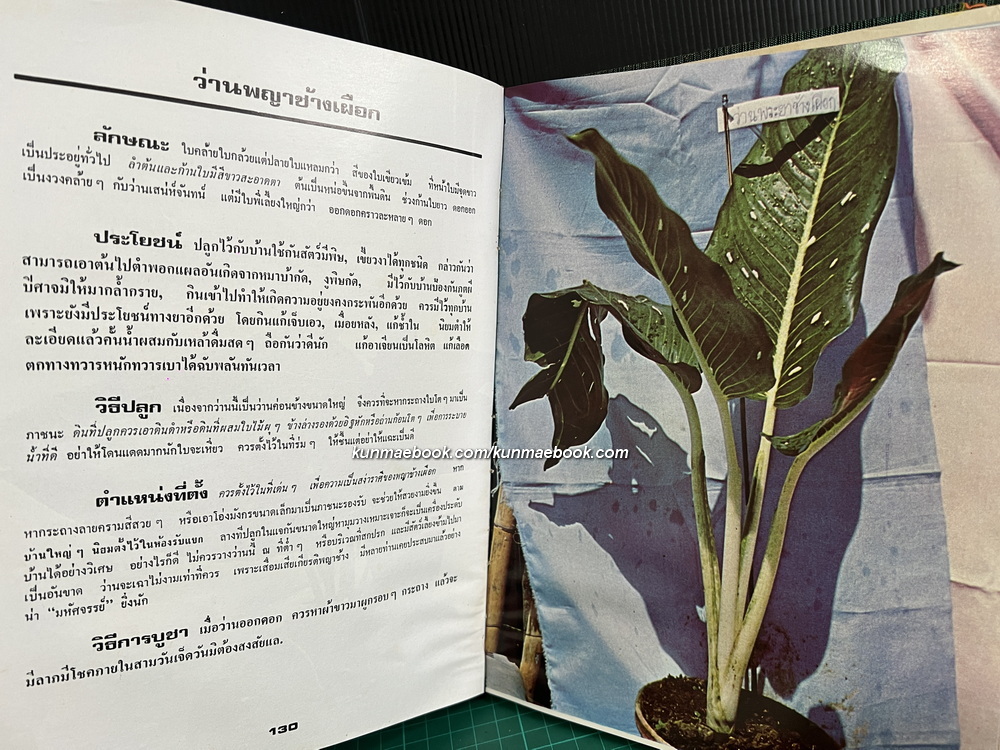 108 ว่านมหัศจรรย์ ผลงานของ เชษฐา พยากรณ์ , ส.เปลี่ยนศรี , อุทัย ธานี