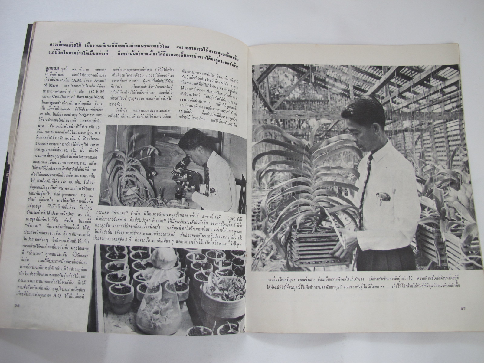 นิตยสาร "เสรีภาพ" ฉบับที่ 109