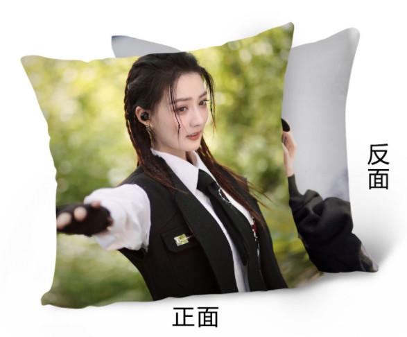 หมอน ฉากรักวัยฝัน (Love Scenery)