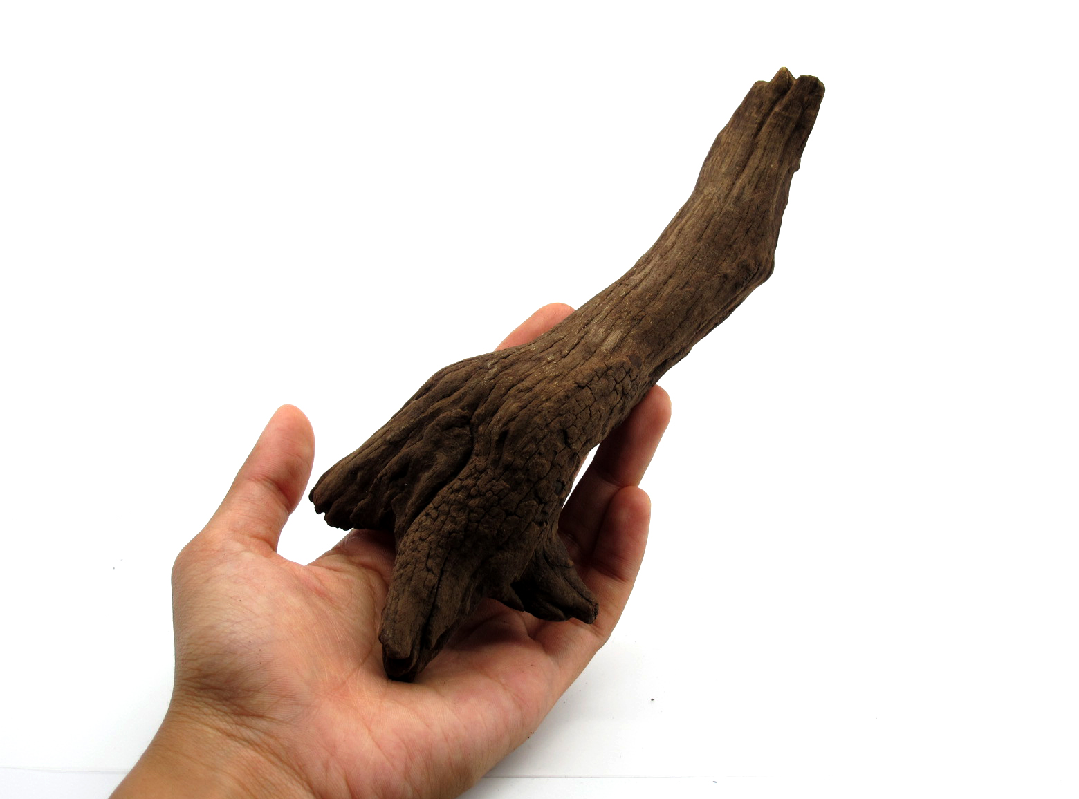 ขอนไม้ตกแต่งตู้ปลาหรือใช้เลี้ยงสัตว์เลื้อยคลาน 066