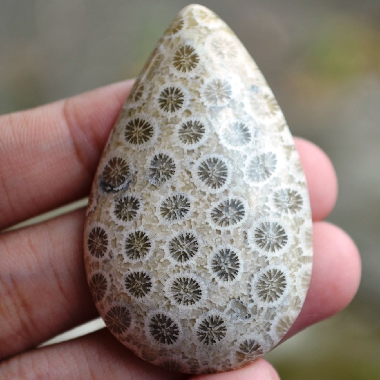 ฟอสซิลหินปะการังขัด Fossil Coral ใหญ่และหนา สำหรับห้อยคอ หรือ พวงกุญแจ คัดสวยพิเศษ #CRF022