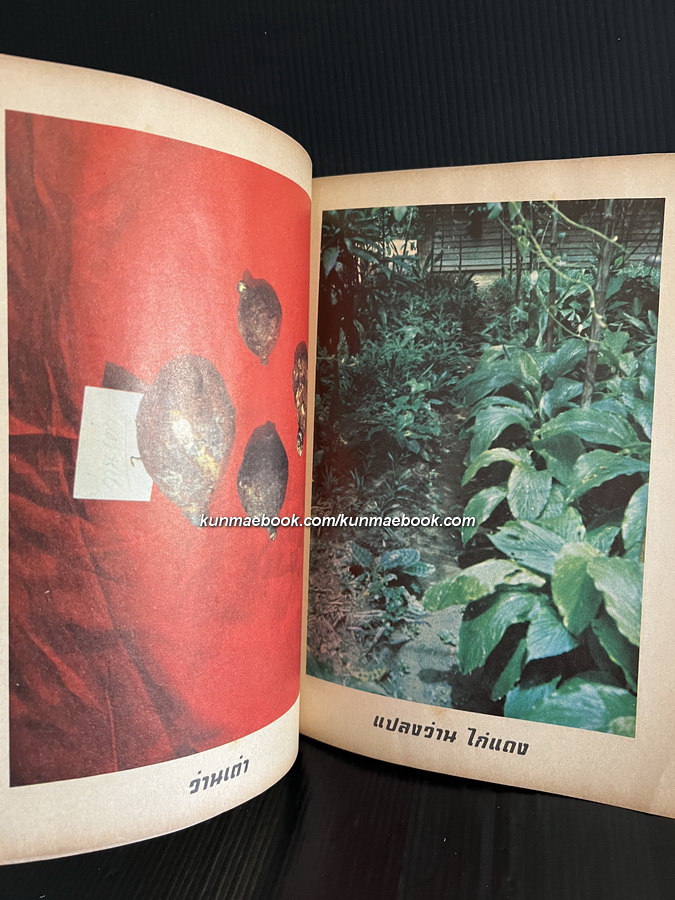 อภินิหารว่านศักดิ์สิทธิ์ : ค้นคว้าและเรียบเรียง โดย เชษฐา พยากรณ์