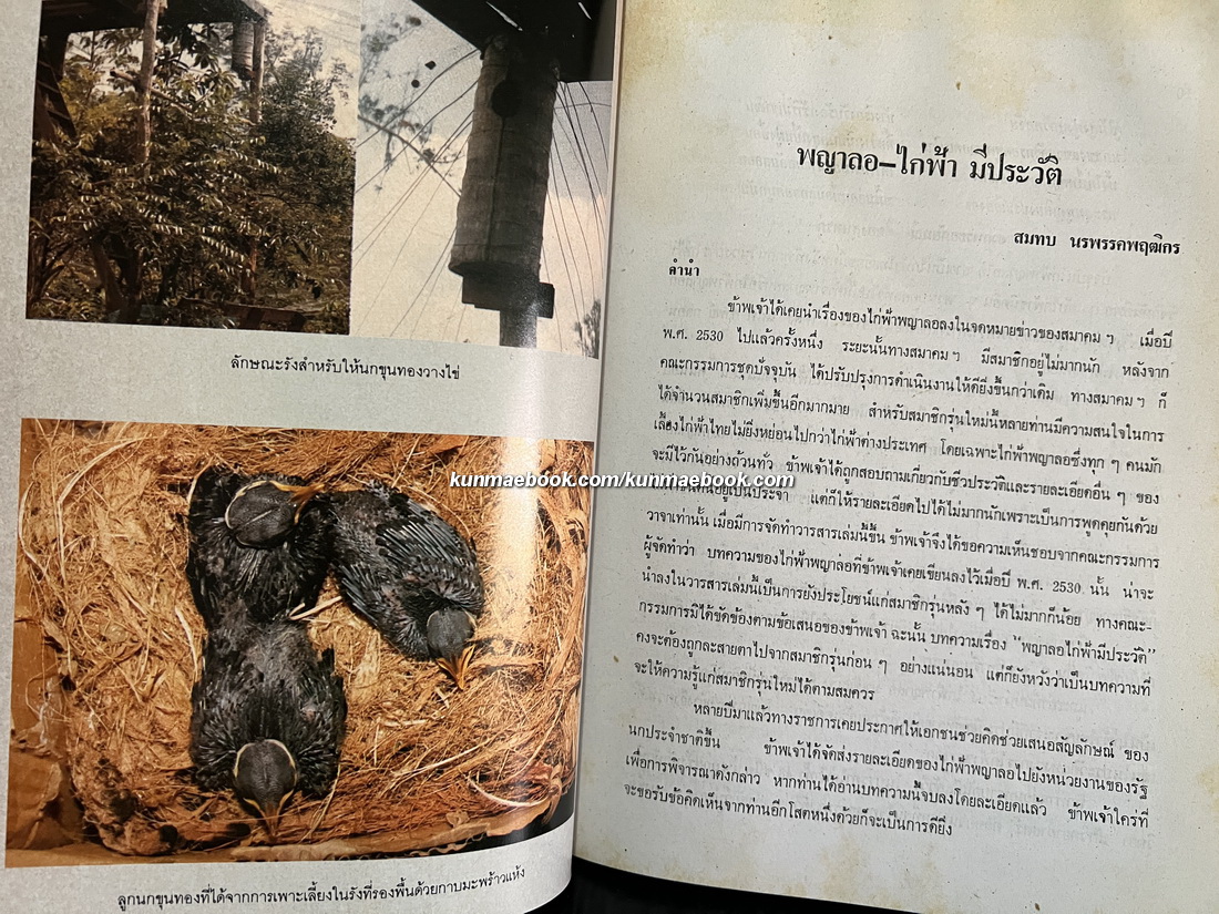 วารสารสมาคมอนุรักษ์ไก่ฟ้าแห่งชาติ ฉบับที่ 3 ปี 2533