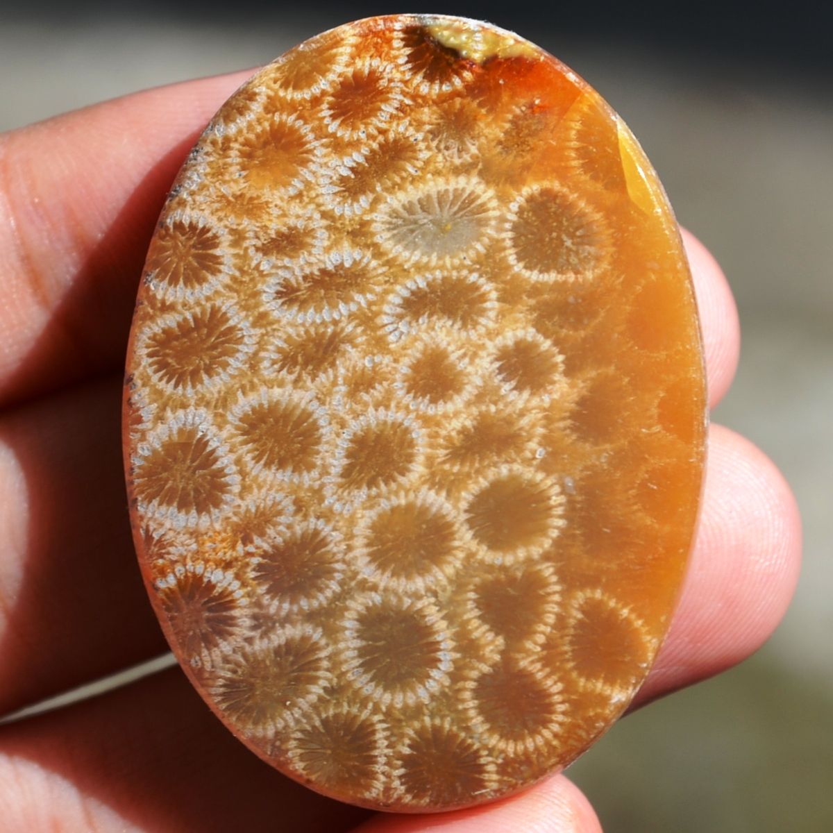 ฟอสซิลหินปะการังขัด Fossil Coral ใหญ่และหนา สำหรับห้อยคอ หรือ พวงกุญแจ คัดสวยพิเศษ #CRF029