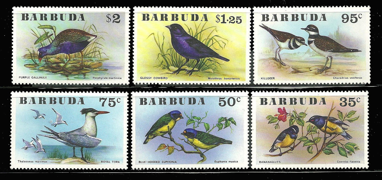 แสตมป์แอนติกา บาบูด้า ชุด Birds นกนานาพันธุ์ ปี 1976 - Antigua and Barbuda