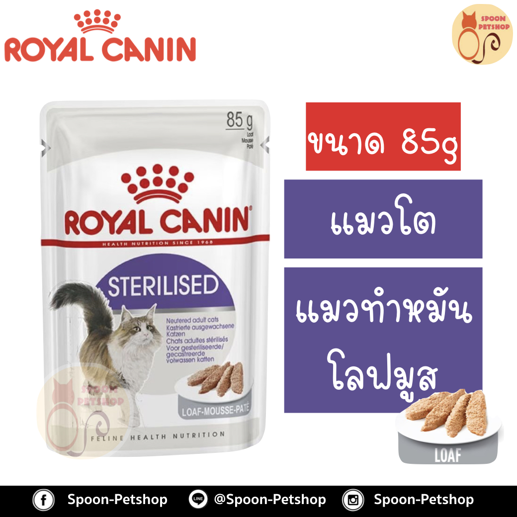 Royal Canin Sterilised Loaf อาหารแมว โรยัล คานิน แบบเปียก สำหรับแมวโต 1-10 ปี ที่ทำหมันแล้ว เนื้อโลฟมูส