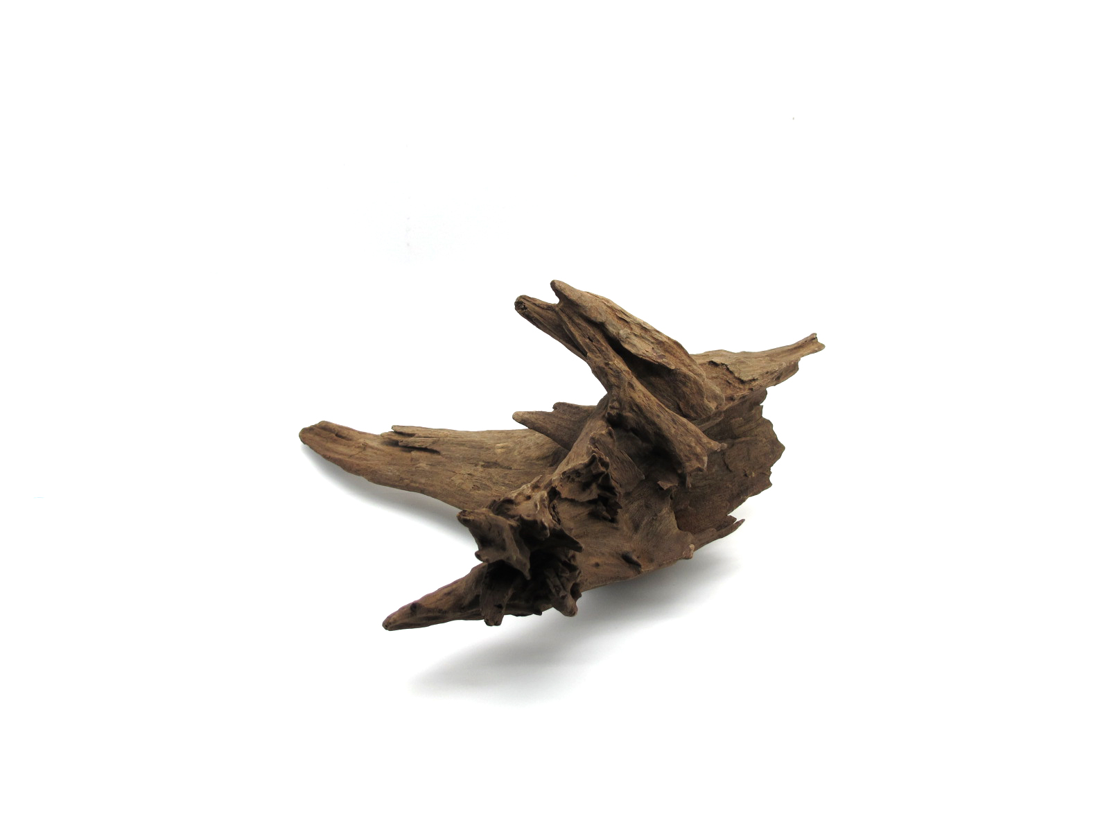 ขอนไม้ตกแต่งตู้ปลาหรือใช้เลี้ยงสัตว์เลื้อยคลาน 053