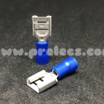 หางปลา แบน ผู้ 2.5 สีน้ำเงิน