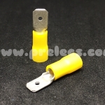 หางปลา แบน ผู้ 4 สีเหลือง