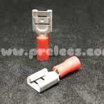 หางปลา แบน เมีย 1.5 สีแดง