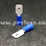 หางปลา แบน ผู้ 2.5 สีน้ำเงิน