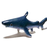 สีน้ำเงิน-ขาว