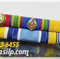ประถมาภรณ์ช้างเผือก (ป.ช.) สาย2
