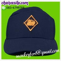 หมวกชรบ. ตราสิงห์ สีกรม