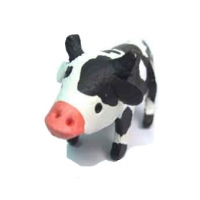 #4 สีขาว-ดำ