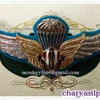 ปีกพาราเซลสีฟ้า
