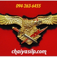 1. ปีกปฏิบัติการพิเศษคอมมานโด ทหารอากาศ