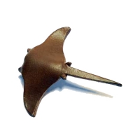 สีน้ำตาล