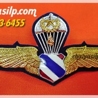 3. ปีกโดดร่ม ทอ.ชั้น1