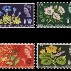 แสตมป์อังกฤษ ชุด 10th Botanical Congress ดอกไม้สวยงาม ปี 1964 - United Kingdom