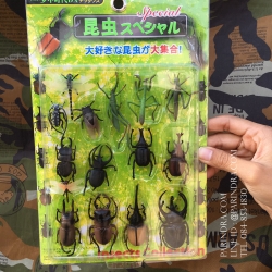 โมเดลชุด ด้วงและแมลงปีกแข็ง ชุดที่ 2