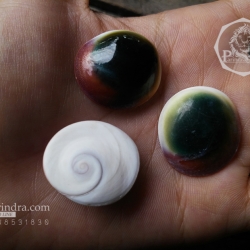 ฝาปิดหอยตาวัว (อิ่งอ้อย) ขัดขาว ขนาดเล็ก