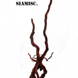 รากไม้แดงตกแต่งตู้ปลาหรือใช้เลี้ยงสัตว์เลื้อยคลาน 023