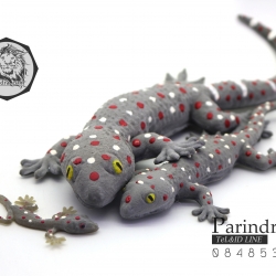 ตุ๊กแกปลอมตัวใหญ่ มาใหม่ เหมือนจริงมาก มาเป็นแพคครอบครัว