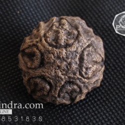 ว่านพระเจ้า 5 พระองค์ คัดสวยพิเศษ PS2