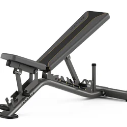 เก้าอี้เล่นดัมเบล Matrix Retail Multi Adjustable Bench