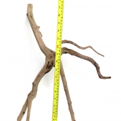 ขอนไม้ตกแต่งตู้ปลาหรือใช้เลี้ยงสัตว์เลื้อยคลาน 017