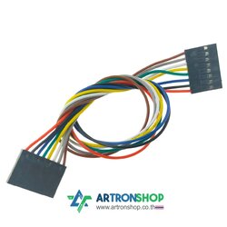 สายจั้มเมีย-เมีย 8 เส้น ยาว 20 ซม.