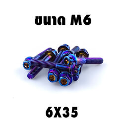 น็อตแต่งไทเท 6*35 (หัวเบอร์ 8)