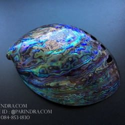 เปลือกหอยเป๋าฮื้อแท้ (Abalone) นิวซีแลนด์ ขัด สีปีกแมลงทับ #HA007