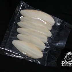 ลิ้นทะเลหรือกระดองปลาหมึก แหล่ง calcium สำหรับสัตว์ปีก แพ็ค 5 ชิ้น